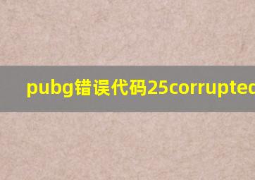 pubg错误代码25corrupted data